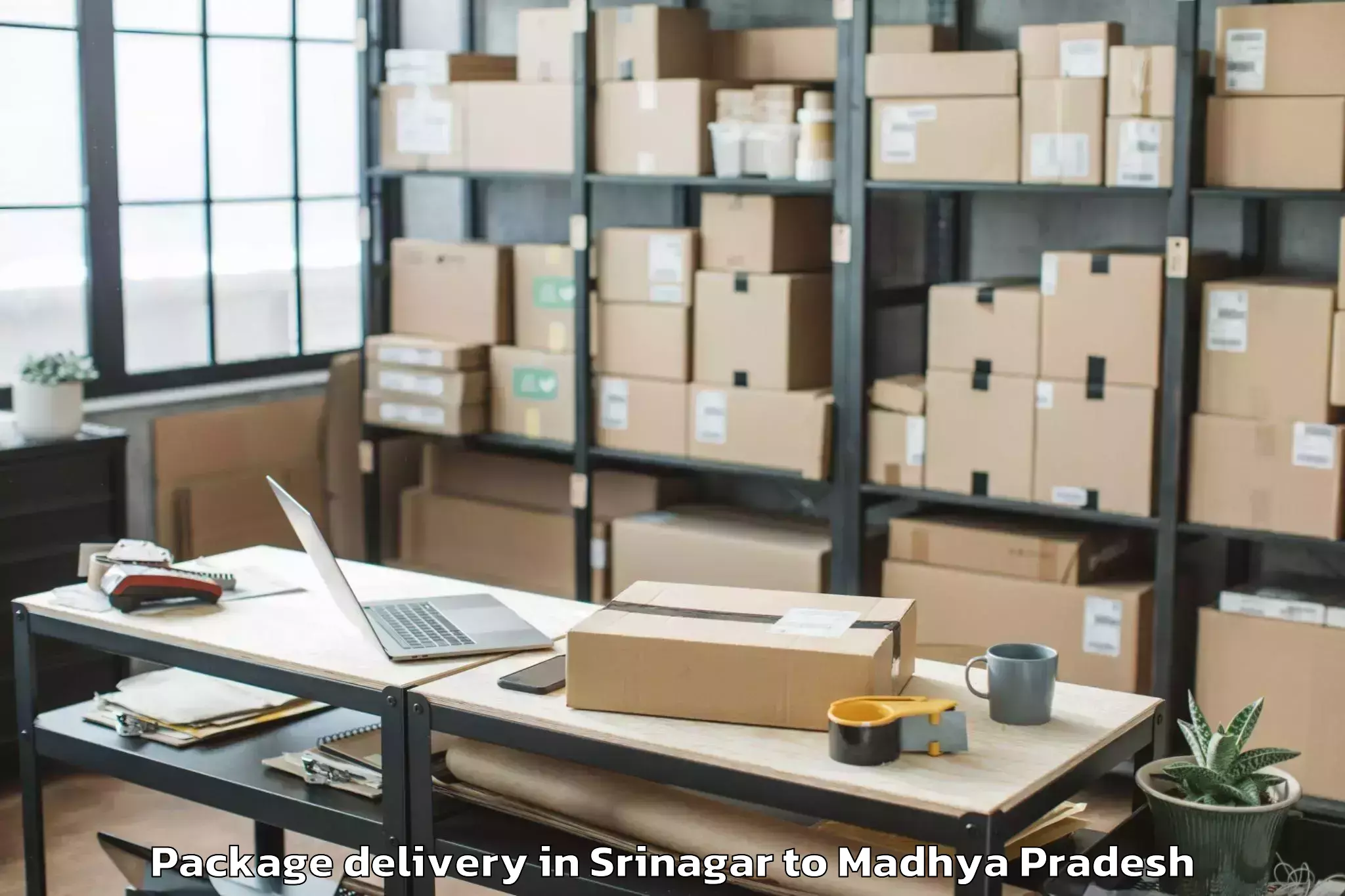 Get Srinagar to Makhanlal Chaturvedi Rashtriya Package Delivery